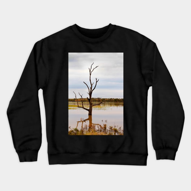 Dead Tree in the River Crewneck Sweatshirt by jwwallace